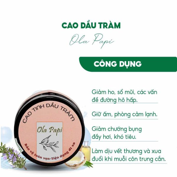 Cao tinh dầu tràm Ola papi