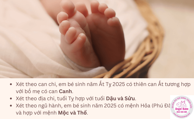 Bố mẹ tuổi nào nên sinh con năm 2025?